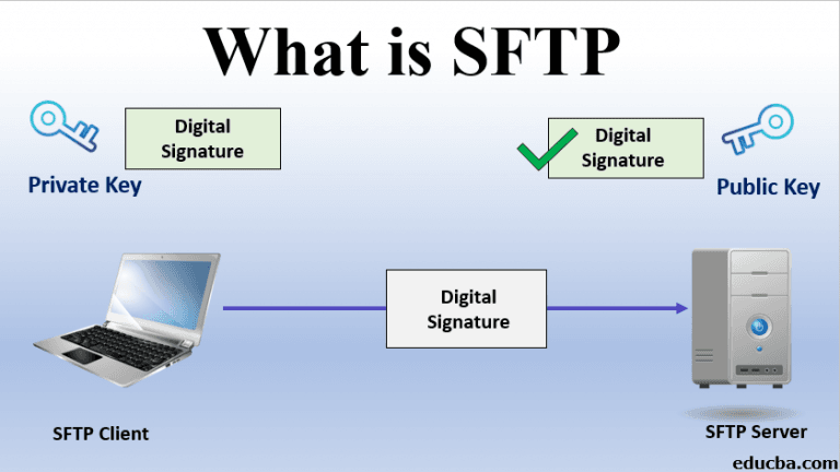 sftp for small business websites