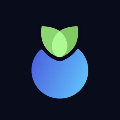 Maven Marketing Group Portfolio 9 blueberry logo