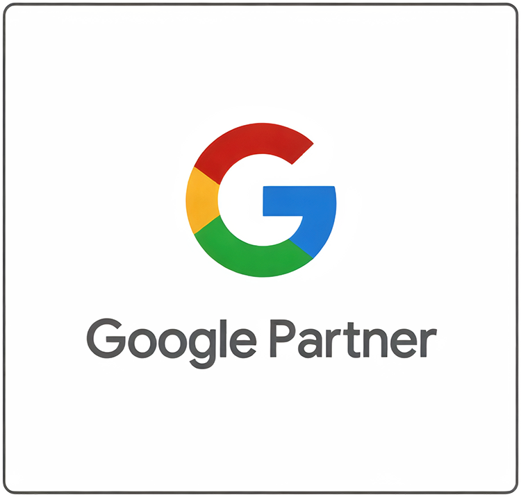 Professional Web Design Services: Showcase Your Company 39 google partner logo