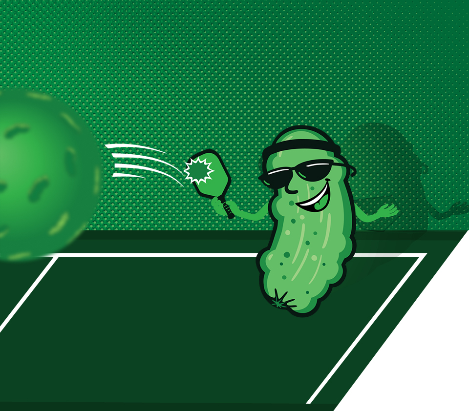 Maven Marketing Group Portfolio 1 pickleballcourtloginbg